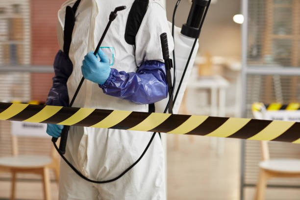Professional Sewage Cleanup technician working in Orleans, NE